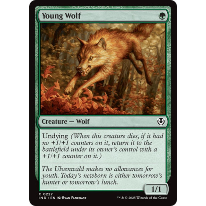 Young Wolf | Innistrad Remastered
