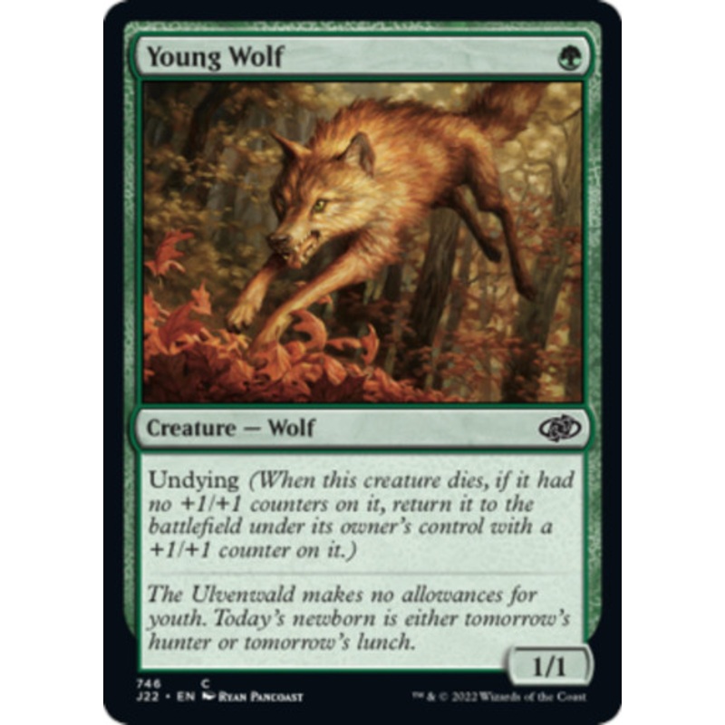 Young Wolf