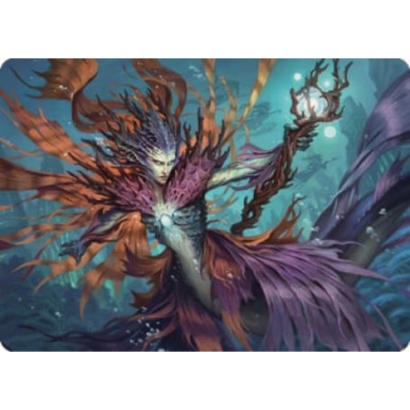 Vodalian Hexcatcher (#20) Art Card | Dominaria United