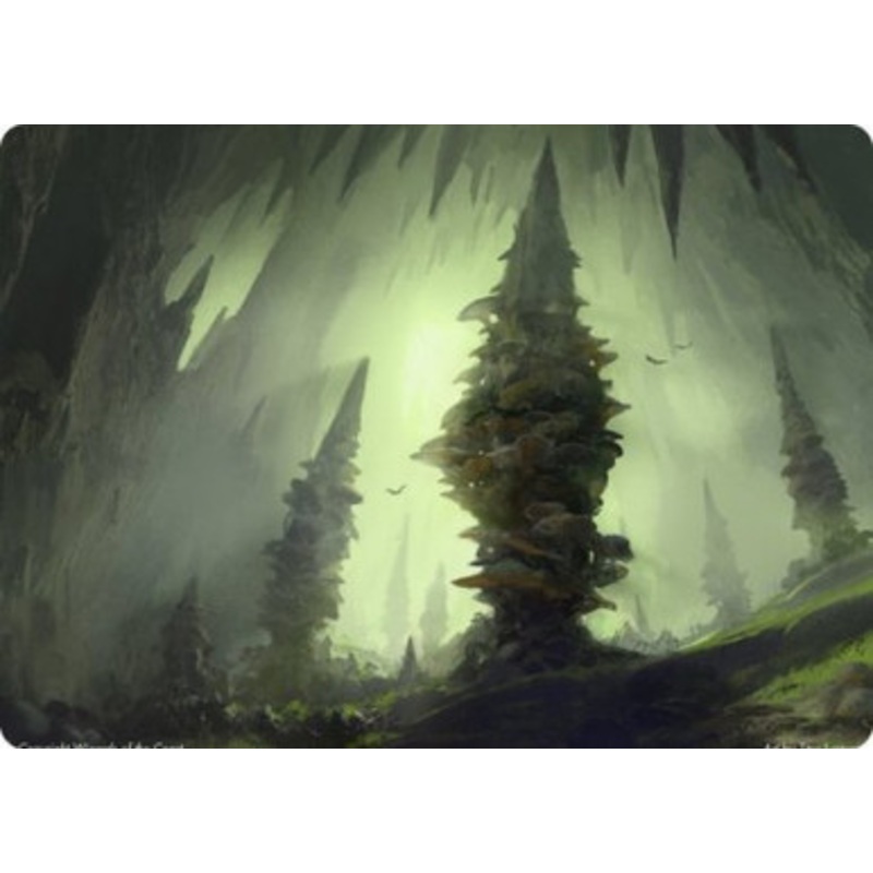 Adventures in the Forgotten Realms Art Card: Forest #61 | Adventures in the Forgotten Realms