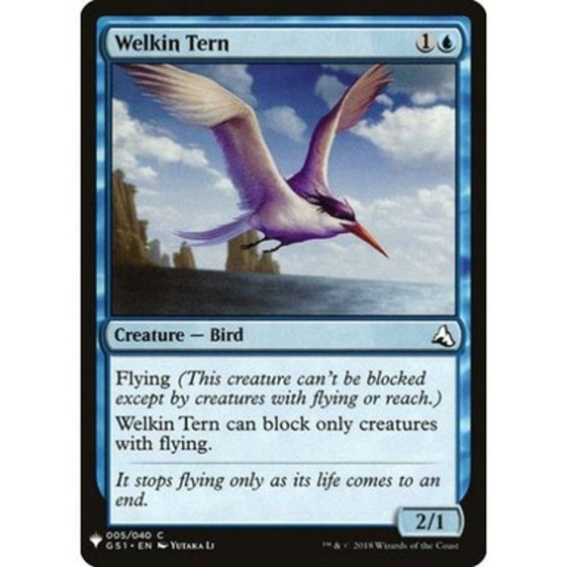 Welkin Tern