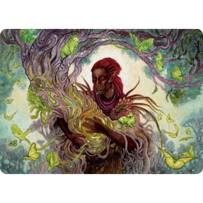Adventures in the Forgotten Realms Art Card: Circle of Dreams Druid | Adventures in the Forgotten Realms