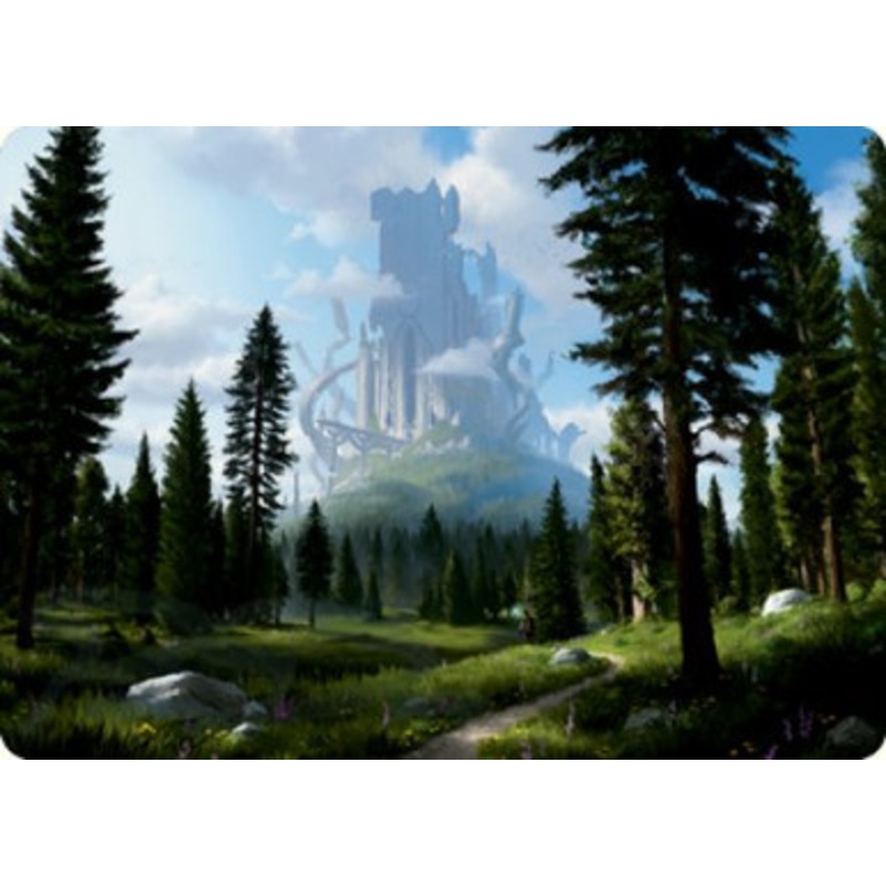 Adventures in the Forgotten Realms Art Card: Forest #55 | Adventures in the Forgotten Realms