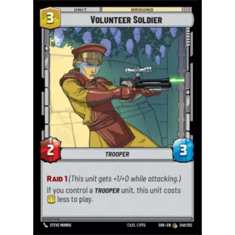 Volunteer Soldier