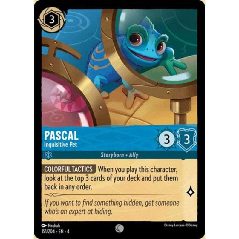 Pascal - Inquisitive Pet