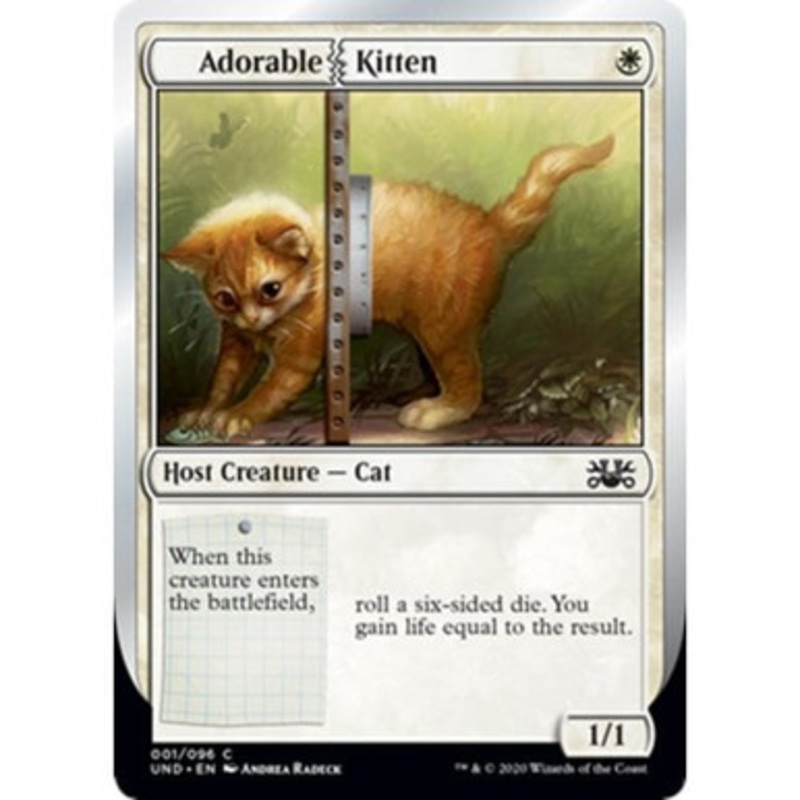 Adorable Kitten | Unsanctioned
